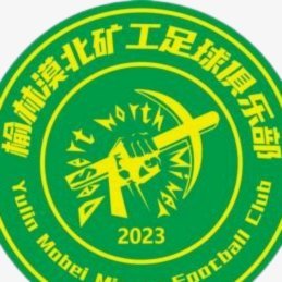 榆林矿工旅投打进中冠总决赛，迈克尔-欧文送上祝福