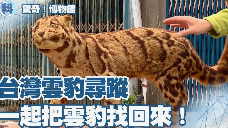 中甲：广州豹闷平青年人，宁波绝平南通，陕西不敌南京