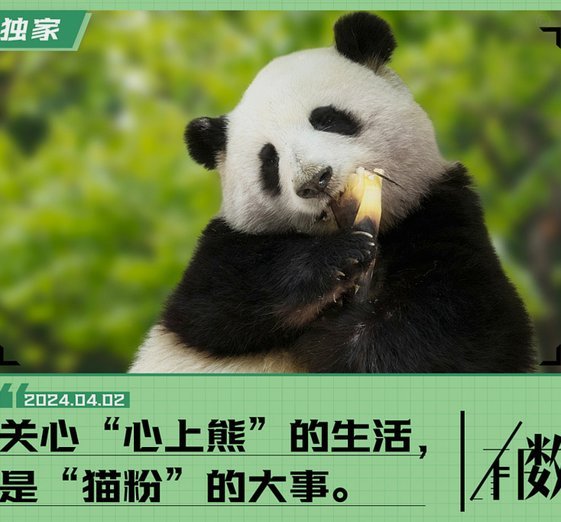 我在这个区里，最大的乐趣就是说说大实话，就能把球盲饭圈粉和韭菜粉两拨人，都气死