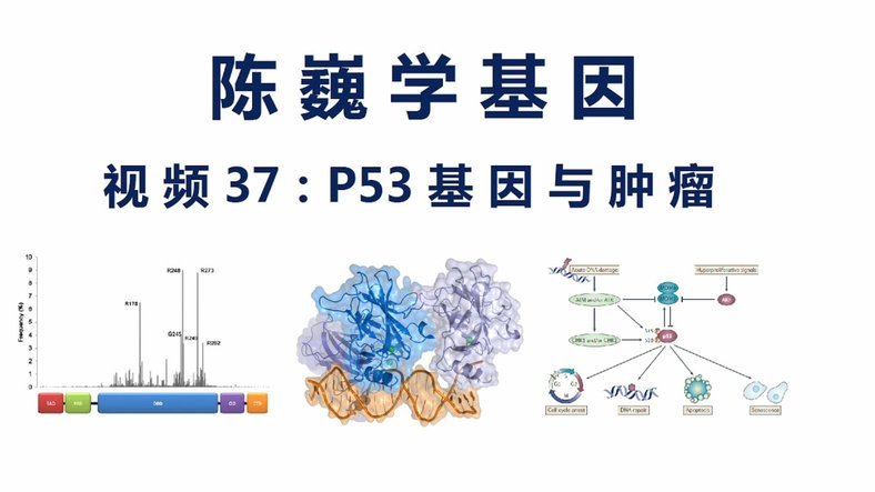 因凡蒂诺的基本盘稳得住
