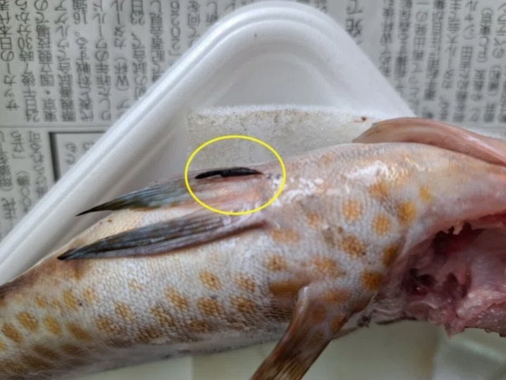 开启新征程！李昊炎晒在拉玛西亚的第一天